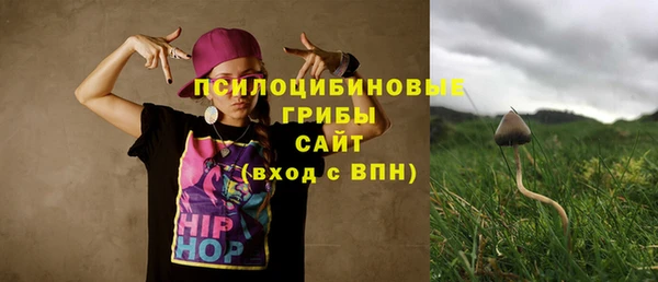 гидропоника Алзамай
