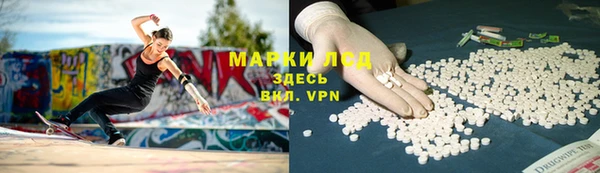 гидропоника Алзамай