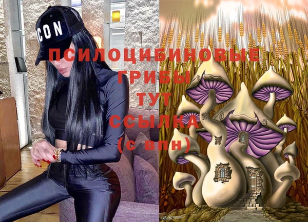 mdpv Абдулино