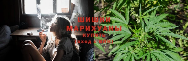 дживик Алексин