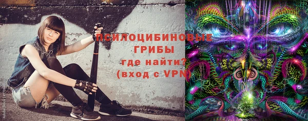 тгк Няндома