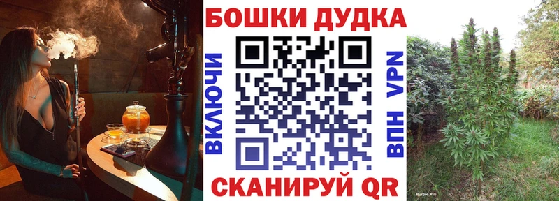 Канабис конопля Кашира