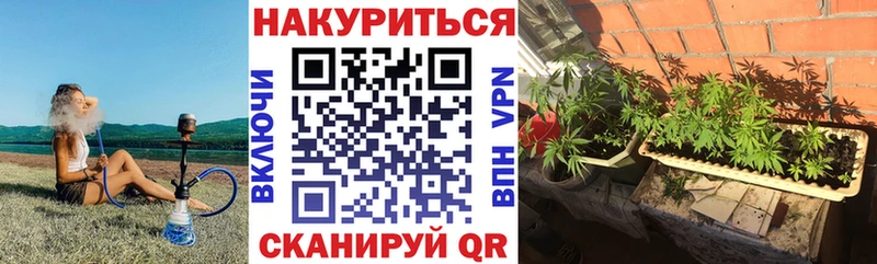 Бошки Шишки конопля  закладки  Кашира 